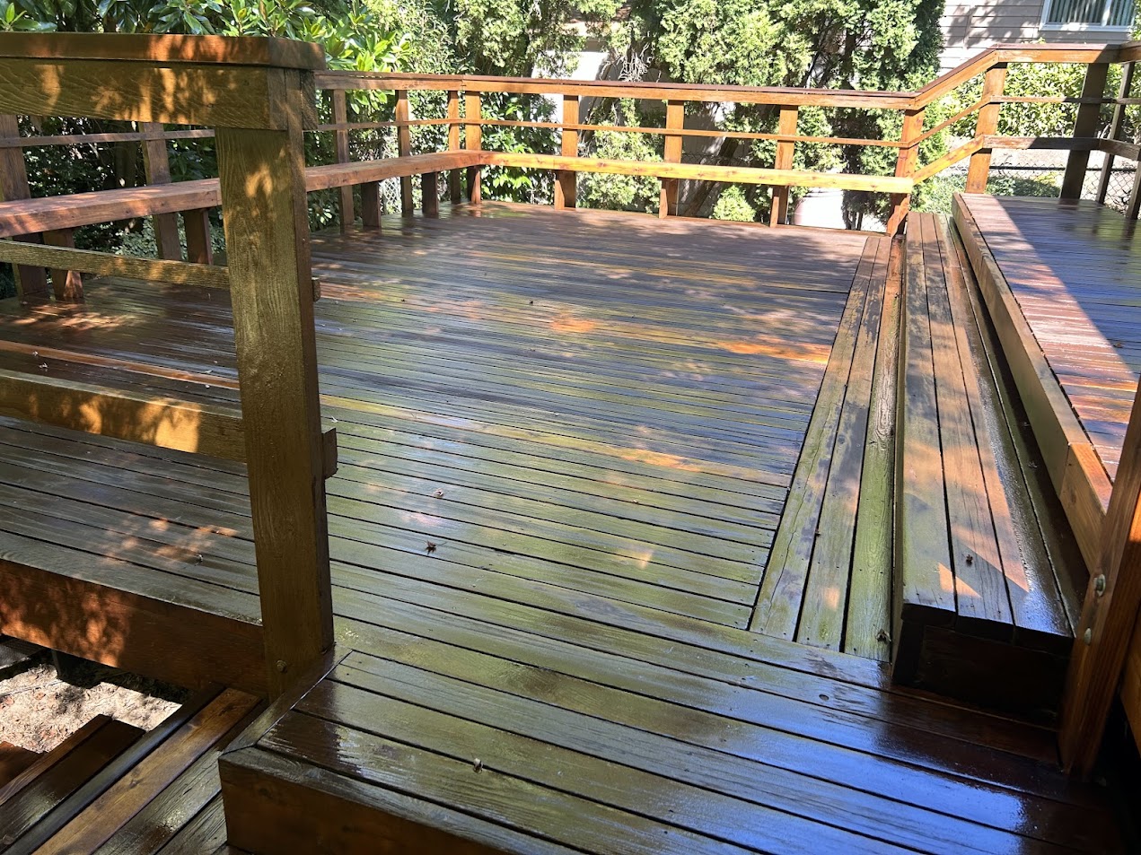 Pitney deck and steps freshly washed by Pearl Painters; railings, foliage, and shade visible. Painter prep for summer 2025.