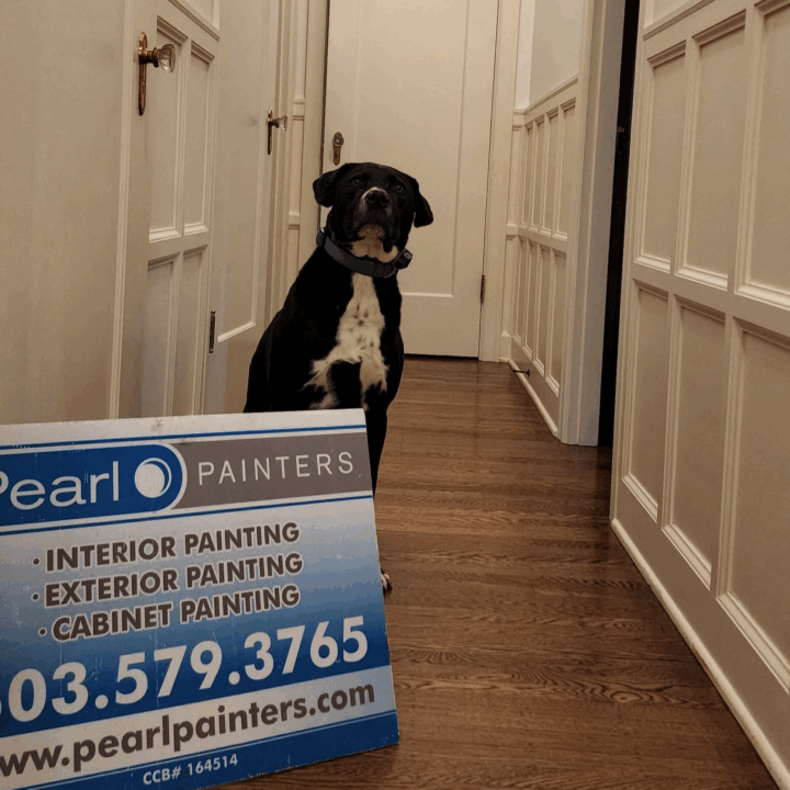 Black and white dog by Pearl Painters painting sign in hallway with white paneled walls; sign mentions Portland painters.