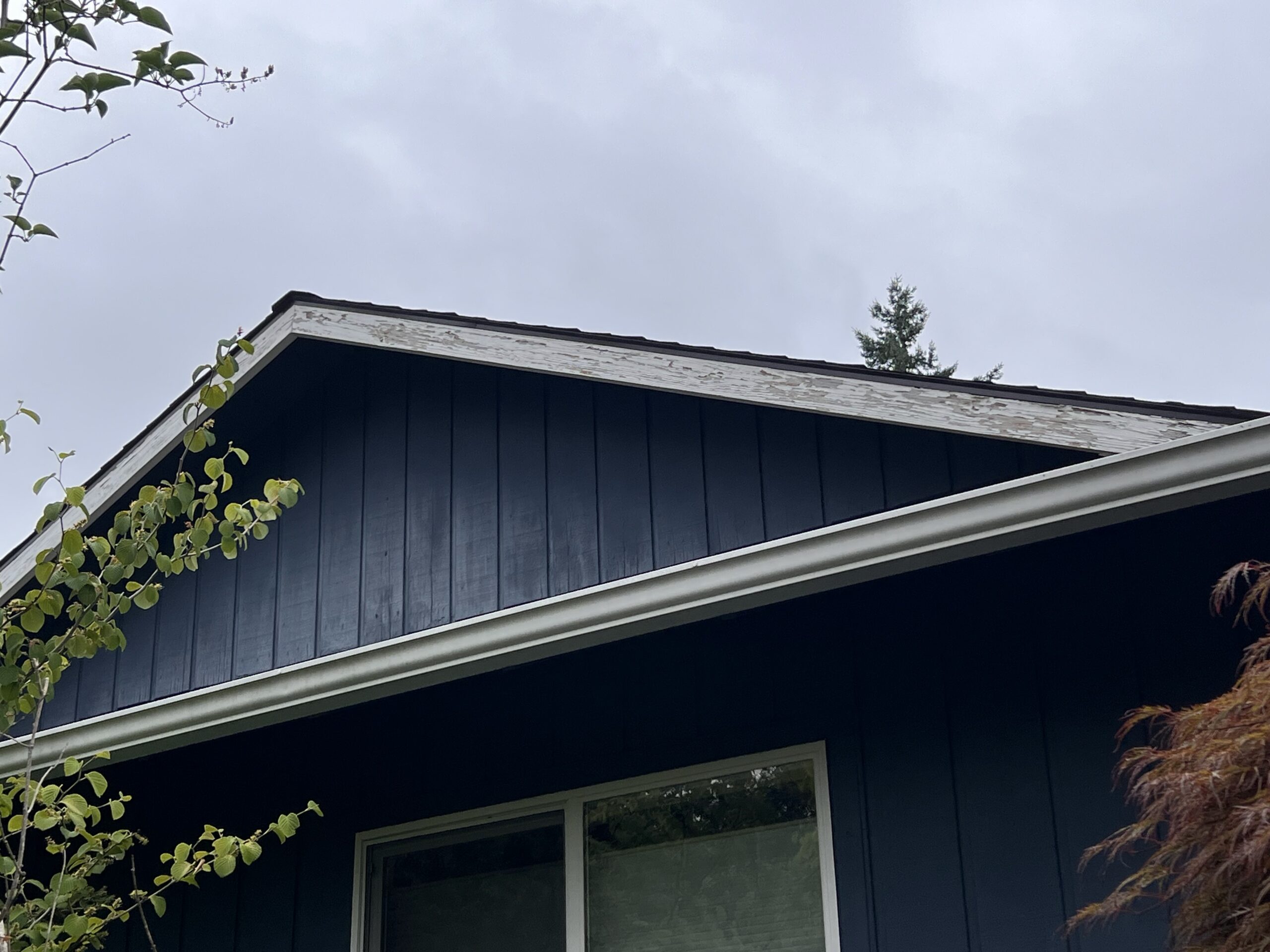 Photo of Restoring Beauty and Protecting Homes: A Success Story in Cedar Mill, Portland, Oregon in Portland, Oregon