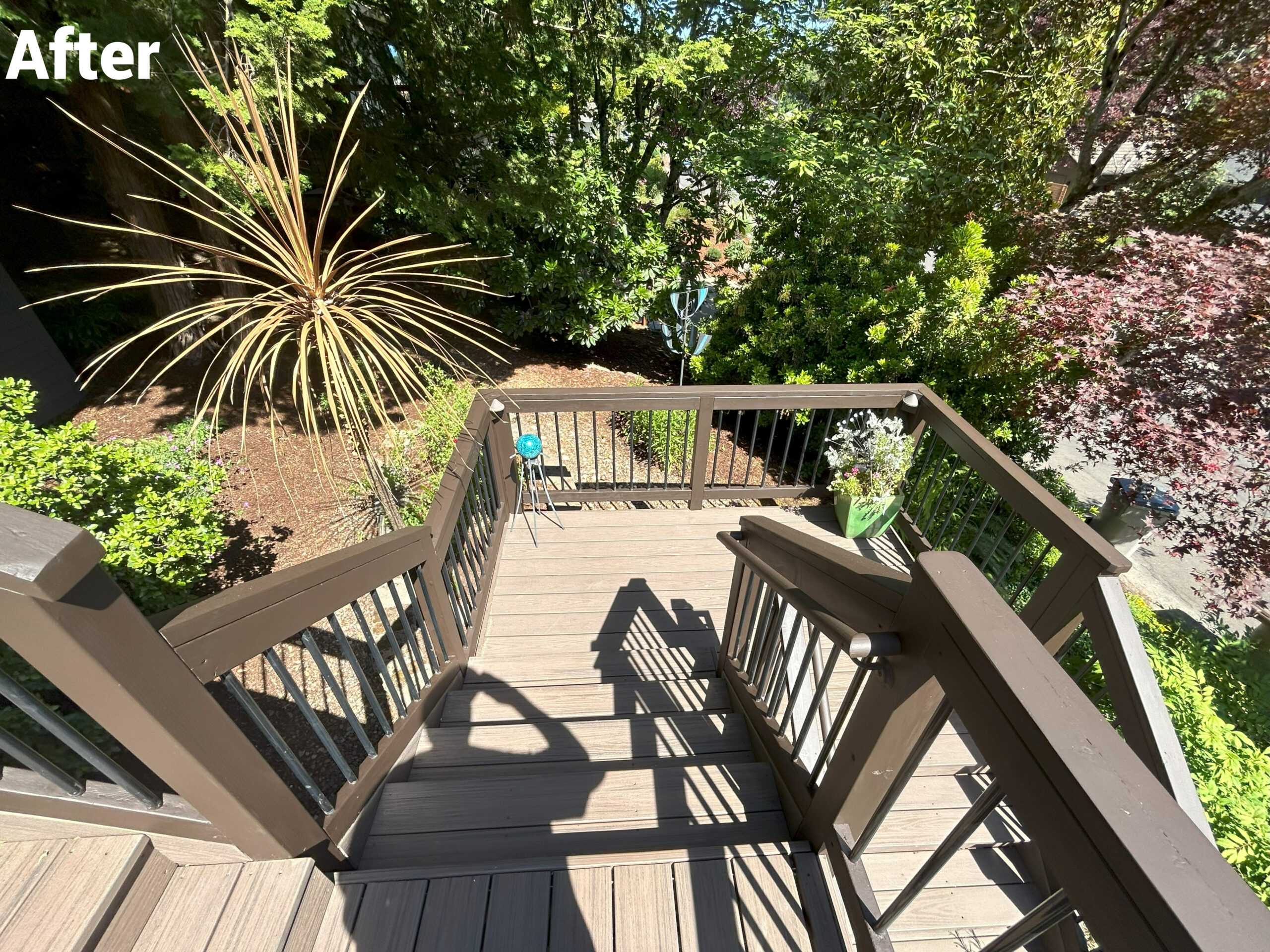 A deck with a well-maintained railing and a tree in the background, ensuring safety concerns are addressed.
