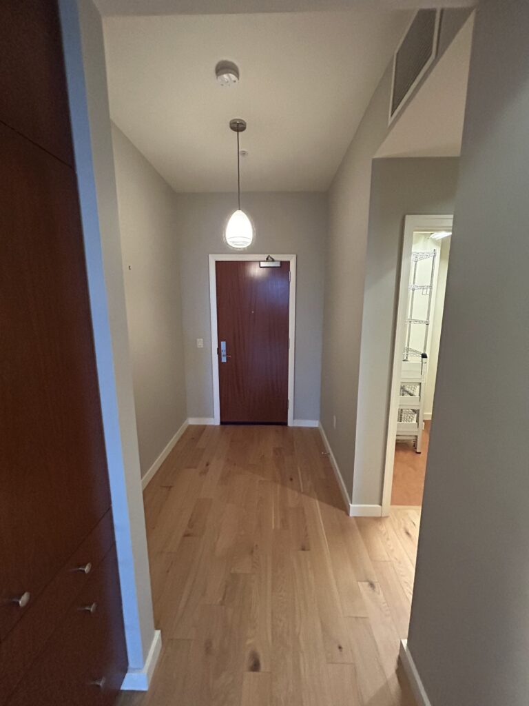 A hallway with light wood flooring, gray walls, and a ceiling light leads to a closed wood door. A closet is open to the right.