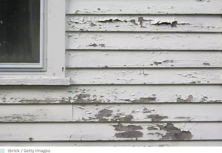 Photo of Failing paint... Here's what to do... in Portland, Oregon