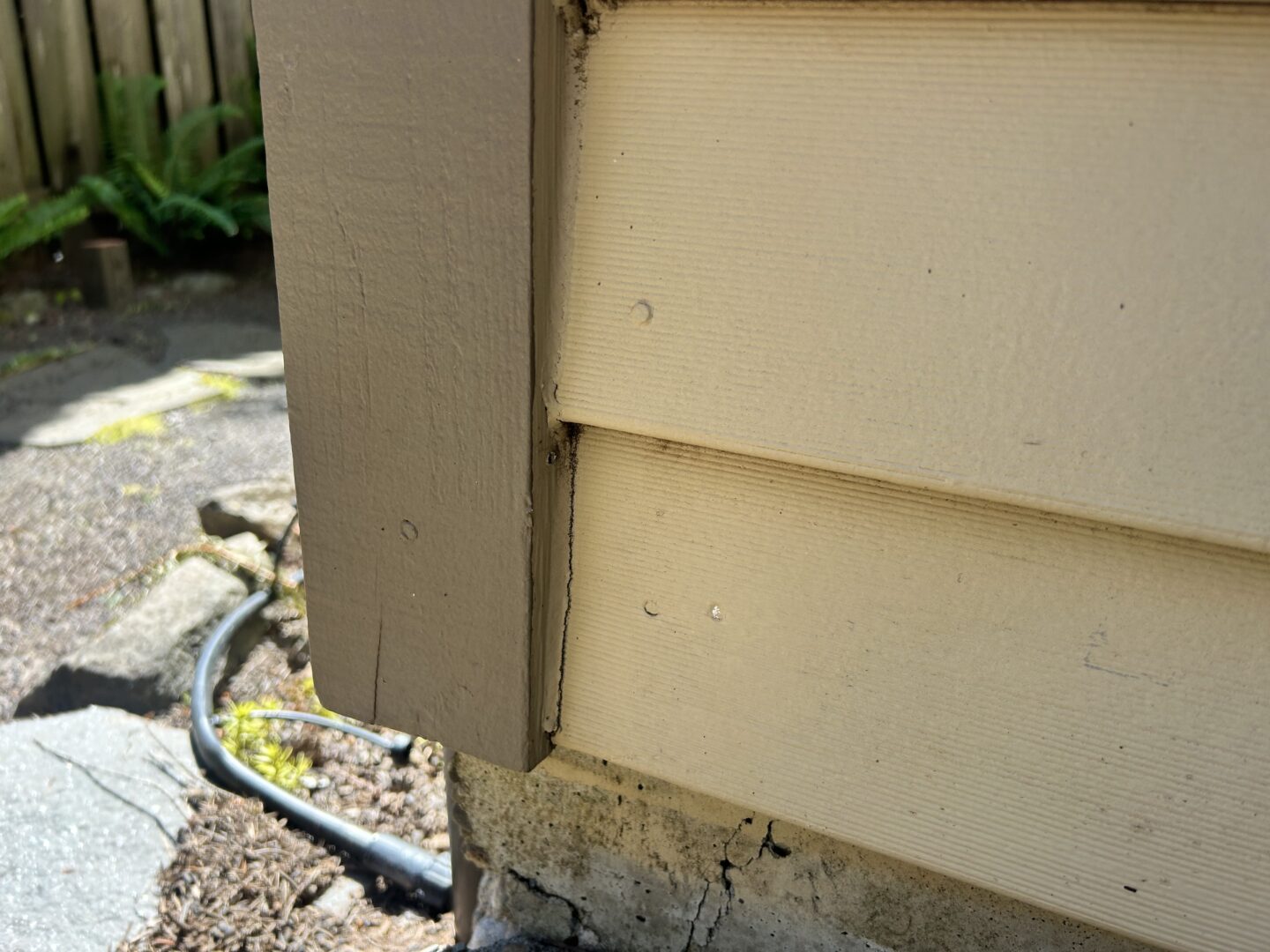 Close-up of a beige siding on the exterior of a house with visible nails and sunlight casting shadows, highlighting potential painting issues. A garden hose is seen on the ground and part of a wooden fence is in the background.