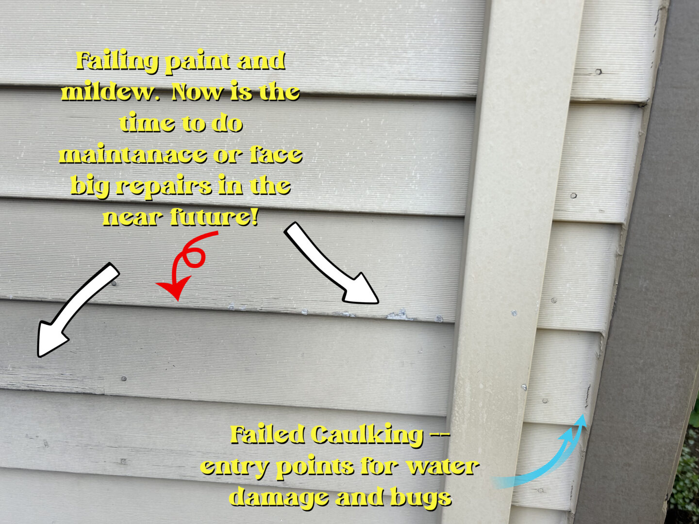 Close-up of house siding showing mildew, failing paint, and failed caulking, with text warning about the need for exterior painting maintenance to prevent water damage and bugs.