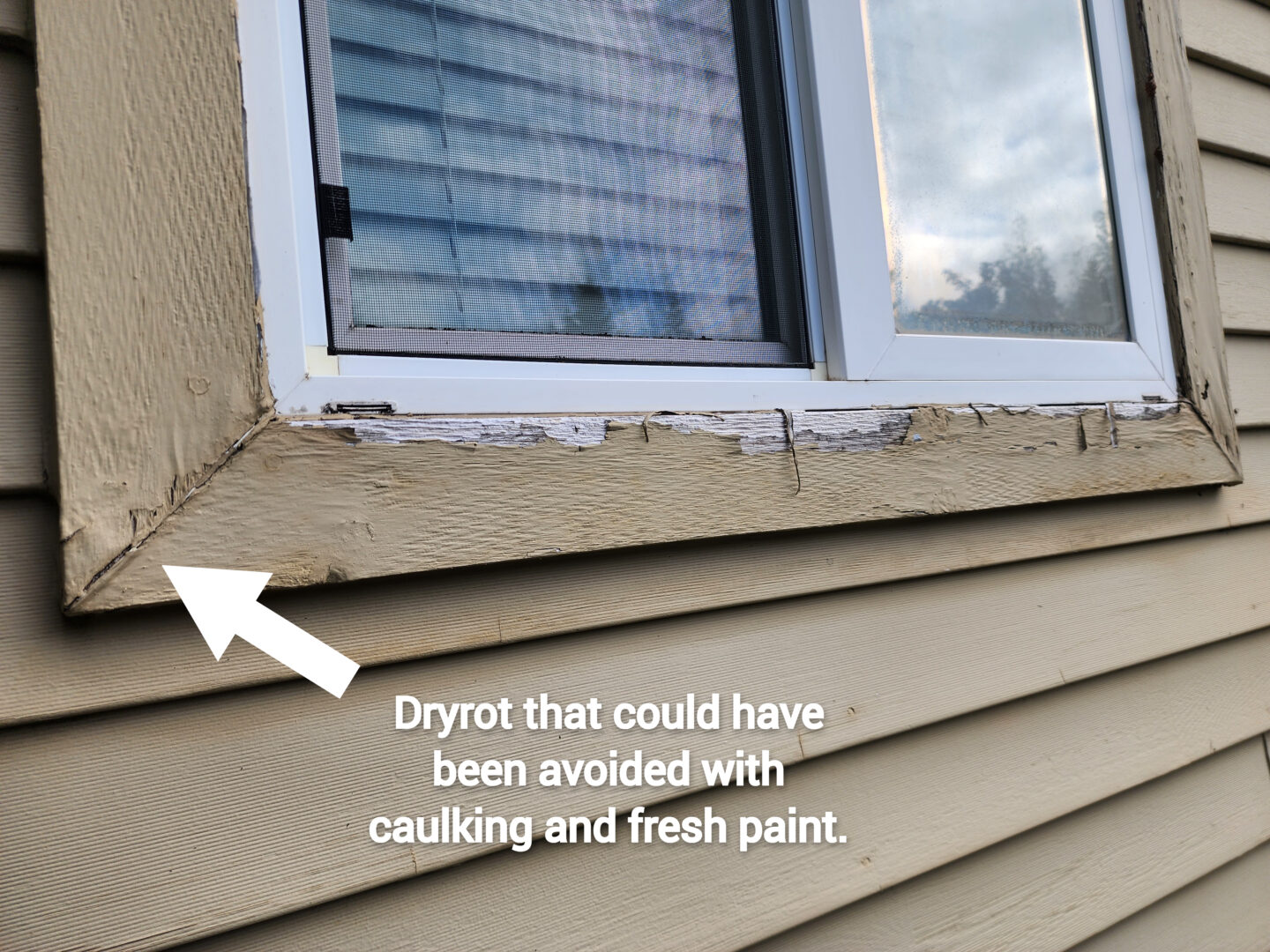 A home's window frame with visible dry rot and peeling paint. An arrow points to the affected area with the text: "Dryrot that could have been avoided with caulking and fresh exterior paint.