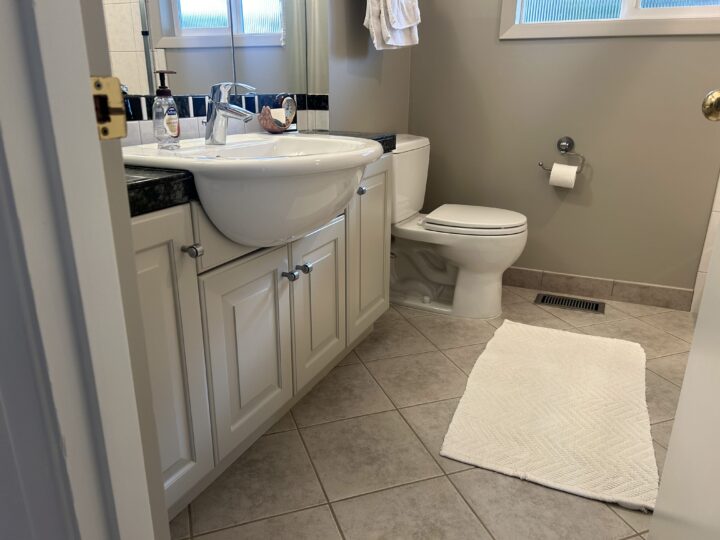 A home bathroom with a toilet and sink.