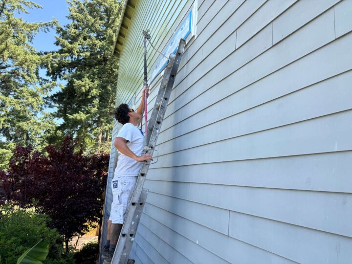 In May 2025, a painter from Pearl Painters uses a roller and ladder to paint the upper exterior wall of a house in Portland light green.