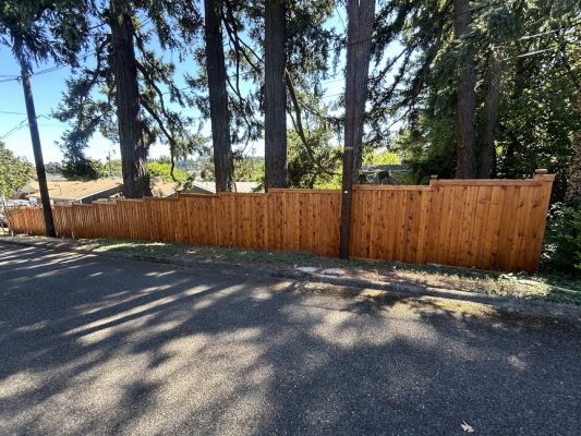 A painter's view of a tall wooden fence by a road with trees behind, under clear sky. Painted by Pearl Painters in Portland.