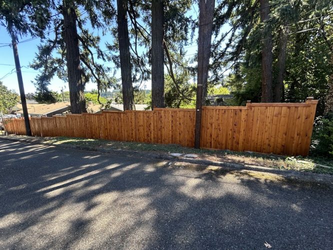 A painter's view of a tall wooden fence by a road with trees behind, under clear sky. Painted by Pearl Painters in Portland.