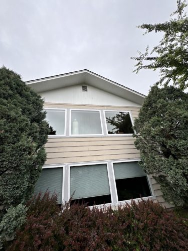 Pearl Painters painted a two-story beige house with large windows in Cleveland, partly hidden by bushes, July 2025 sky.