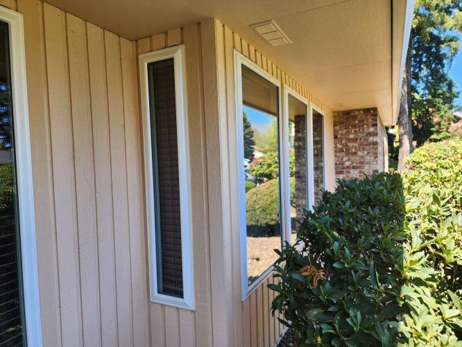 Close-up photo of a house exterior in Portland, painted with beige vertical siding and white-trimmed windows. Green shrubs in front. Photo by Ferlitsch, April 2025. Suitable for Pearl Painters or any local painter reference.