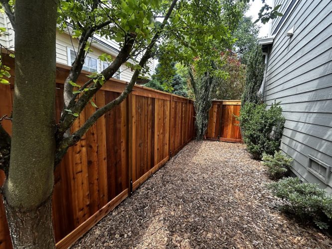Chadderton backyard with wood chips, stained wooden fence painted by Pearl Painters, tree, bushes, and gray house side.