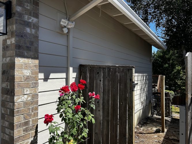 A painter in Portland with Pearl Painters works near a Featherstone gate, light gray siding, brick trim, and red roses.