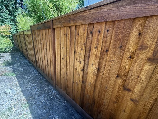 Wooden Smith privacy fence with vertical planks by a dirt path and greenery, painted by Pearl Painters in Portland, July 2025.