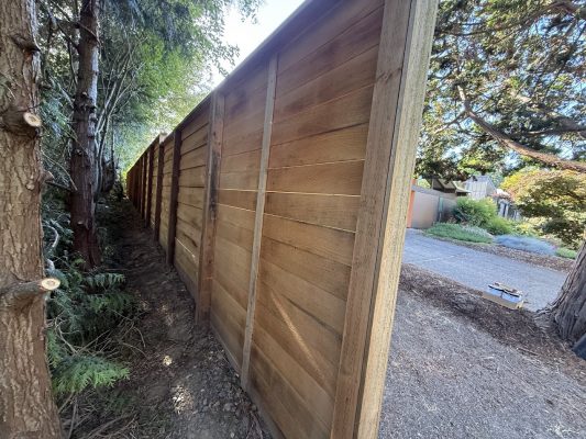 Wooden privacy fence painted by Pearl Painters in Portland, July 2025; trees and shrubs line the residential driveway.
