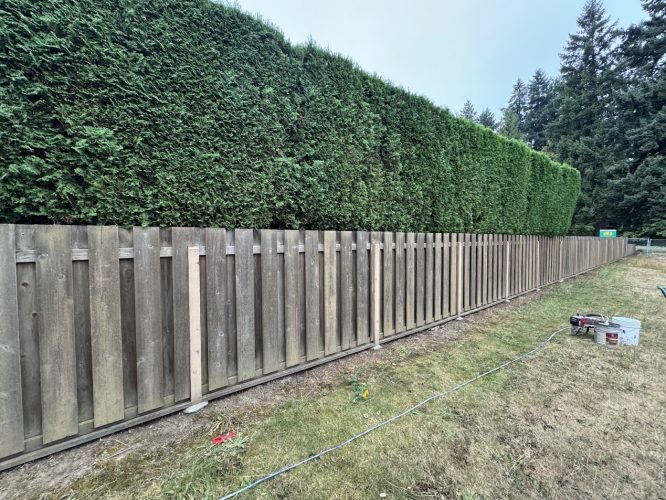 Craytor wooden fence by evergreen hedges with tools on grass; Pearl Painters doing exterior painting work in Portland.