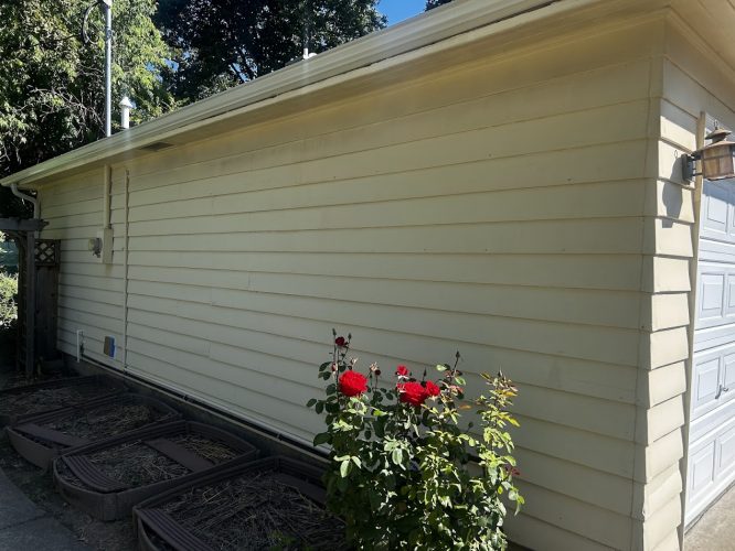 Beige garage with horizontal siding, raised beds, and red roses; Pearl Painters painting in Portland for Gies by July 2025.