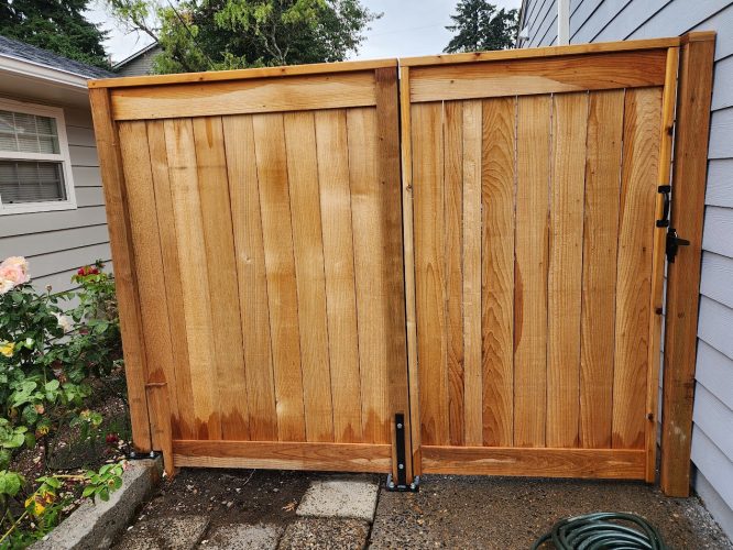 A wooden double gate with black latch stands by Arnold’s house and garden; painted by Pearl Painters in Portland, August 2025.