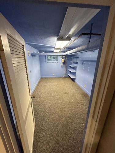 Empty basement with blue-painted walls and ceiling, gray carpet, shelves; painted by Pearl Painters in Portland.