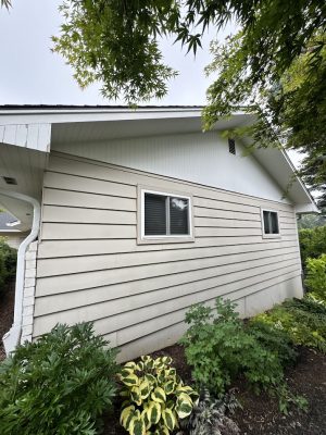 Beige house with two windows, white trim, and garden. Photo shows exterior for painting reference; Cleveland, July 2025.