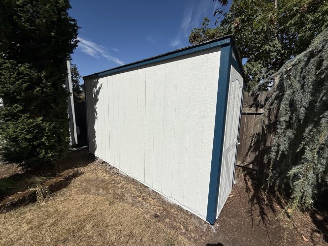 A small white shed with blue trim stands by a wooden fence and trees under a clear sky, like a Portland painter’s scene.