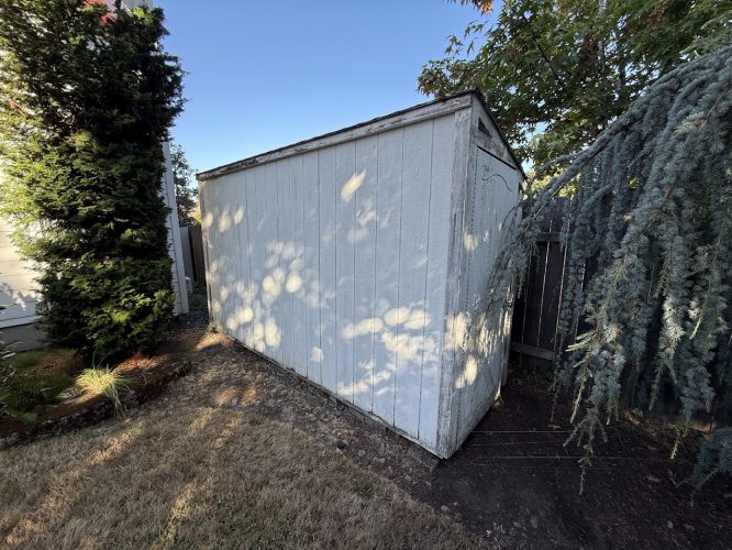 A painter with Pearl Painters works on a Nomura white shed in a grassy, fenced backyard under the July Portland sun.