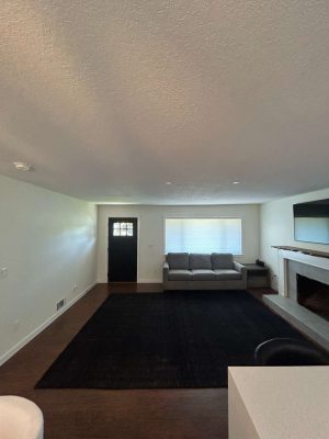 A minimalist living room painted by Arnold in May 2025 features a gray sofa, black rug, fireplace, wall-mounted TV, window with blinds, and a sleek black front door. Location: Portland. Pearl Painters.