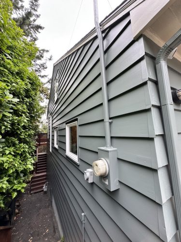 Gray-sided house in Carlton with utility meter, conduit pipes, narrow walkway, small windows, and dense greenery. Photo taken June 2025 by Pearl Painters.