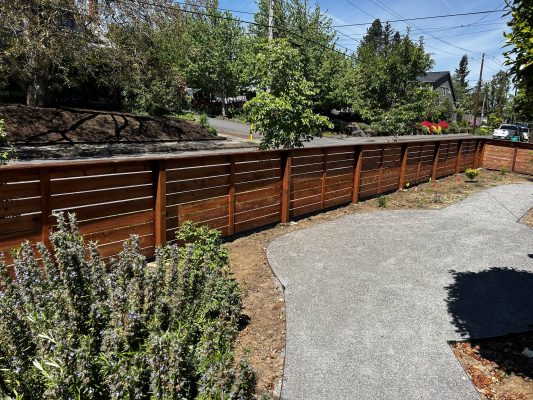 A painter from Pearl Painters in Portland painted a wooden fence beside a curved concrete path in the front yard of the Trujillo residence, surrounded by trees and shrubs under a clear May 2025 sky.