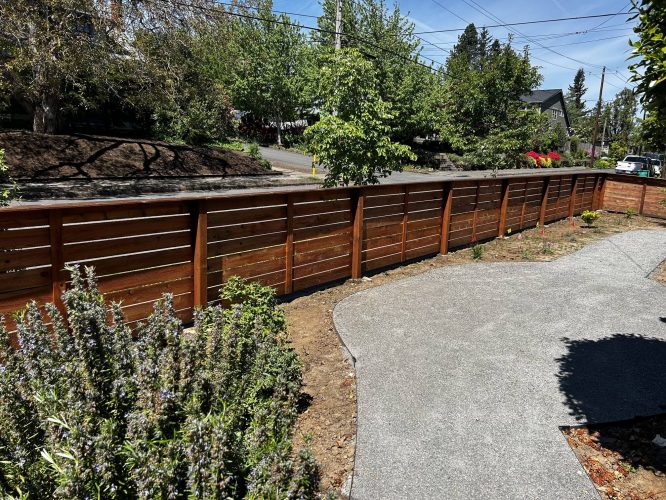 A painter from Pearl Painters in Portland painted a wooden fence beside a curved concrete path in the front yard of the Trujillo residence, surrounded by trees and shrubs under a clear May 2025 sky.