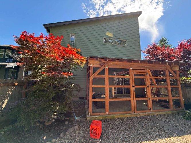 A two-story green Arain-style house in Portland has a wooden enclosed patio, red-leaved trees on both sides, and a red crate on gravel in front. Painting by Pearl Painters.