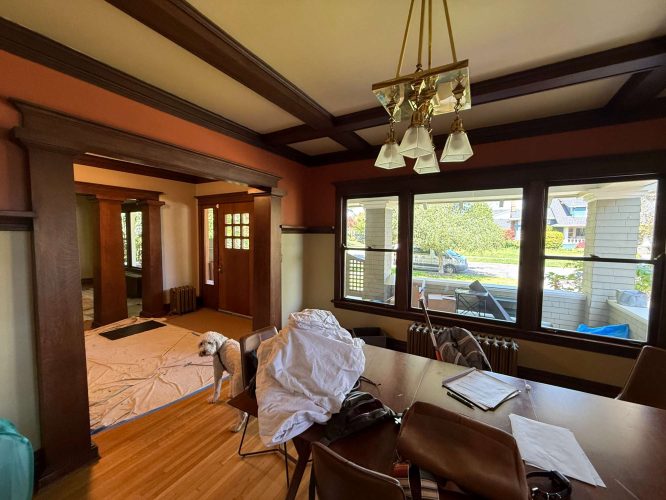 A dining room in Dennis (not Portland) features wooden trim, a chandelier, large windows, and a table with items. A small dog sits on a drop cloth near the entryway. Painting by Pearl Painters, May 2025.