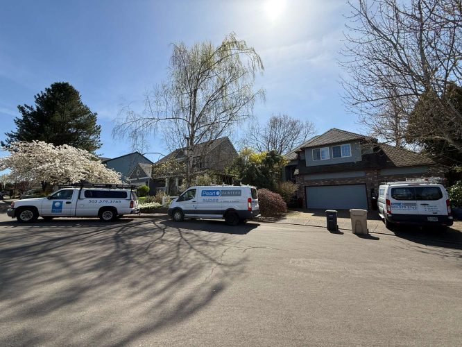 Three Pearl Painters service vans with company logos are parked on a residential street in Portland, in front of two houses, ready for interior painting projects scheduled for April 2025.