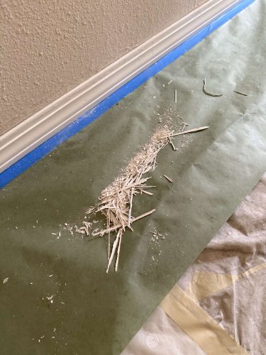 A painter from Pearl Painters in Portland captured this Mills interior in April 2025: wood shavings and splinters on green floor covering sit beside a beige wall with blue painter's tape at the baseboard.