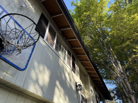 A basketball hoop is mounted on the exterior of a light green house in Portland, next to tall leafy trees. April 2025. Pearl Painters provided painting services for this home.