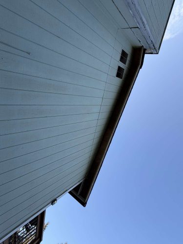 Side view of a light blue Wehage house with vertical siding, freshly painted by Pearl Painters, Portland painters, under a clear April 2025 sky.