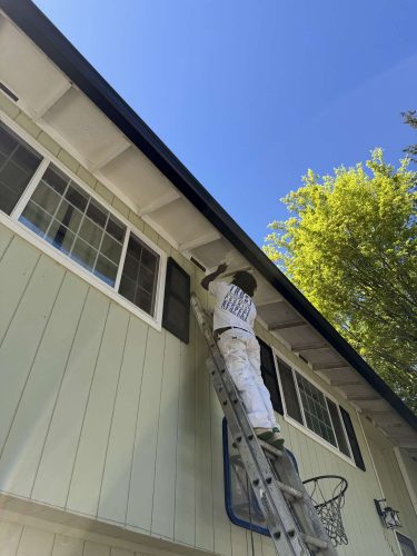 A painter from Pearl Painters works on the exterior eaves of a light green house in Portland, with a basketball hoop below, during an April 2025 project.