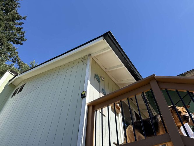 A light-colored house in Portland features a sloped roof and wooden railing. Pearl Painters completed the exterior painting in April 2025. A dog stands behind the railing under a clear blue sky.