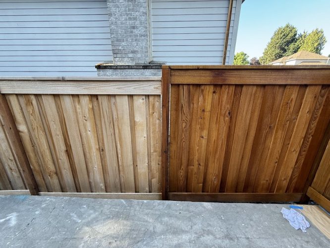 A painter is staining a wooden fence at the Smith residence, with half painted brown. Pearl Painters, Portland, July 2025.