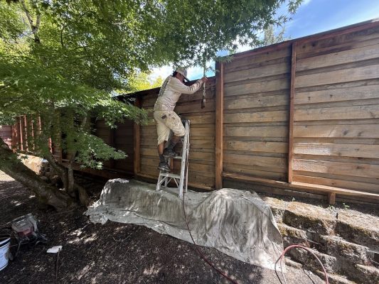 In July 2025, a painter on a ladder paints a wood fence with Harvey supplies; drop cloth on ground. Pearl Painters, Portland.
