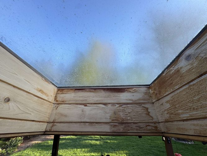 Photo of a Hamilton exterior (not Portland), viewed upward through a glass roof with condensation and wood framing. Clear blue sky and blurred greenery are visible outside—a scene that could inspire painters like Pearl Painters, specialists in painting throughout Portland.