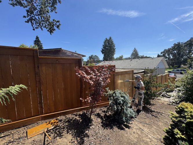 In August 2025, painter Arnold sprays stain on a backyard wooden fence, working for Pearl Painters in Portland.