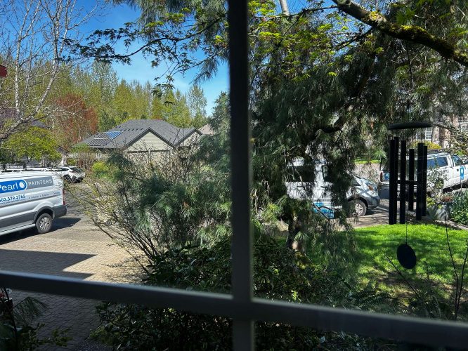 Interior view through a window shows two Pearl Painters work vans parked in a driveway, with trees and plants in the yard, under sunny April 2025 skies in Portland.
