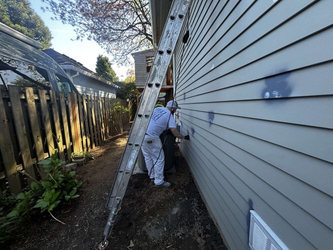 In April 2025, a painter from Pearl Painters paints the exterior siding of a Congdon house in Portland, standing next to a ladder in a narrow side yard.
