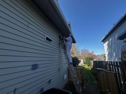 A painter from Pearl Painters in Portland stands on a ladder painting the exterior siding of a house on a sunny April 2025 day.
