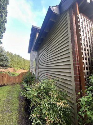 Exterior view of Scott's Portland house in April 2025 after painting by Pearl Painters: beige vinyl siding, brick trim, tall shrubs, wooden fence, and green yard.