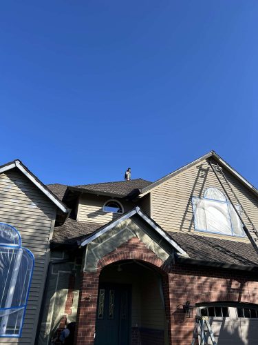 A dog stands on the roof of a two-story house in Portland under a clear blue April 2025 sky. This unique moment was captured by Pearl Painters, local painting experts.