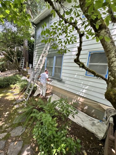 In June 2025, a painter from Pearl Painters paints the exterior of a white house in Carlton (near Portland) using a brush. Ladders, protective sheets, and painter’s tape cover windows; trees and plants surround the site.
