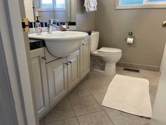 A bathroom with a toilet and sink.