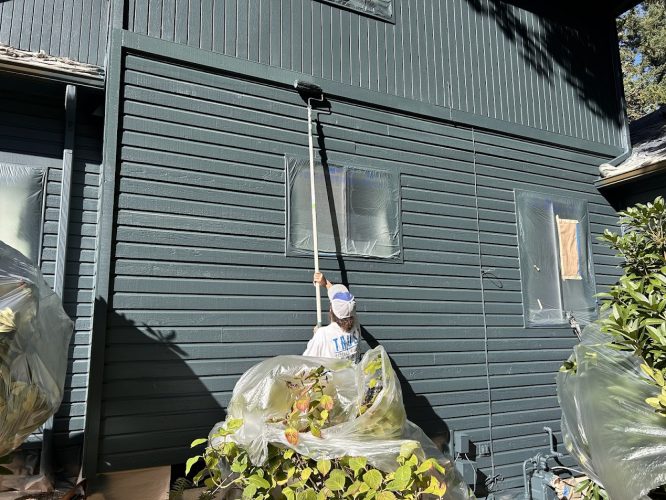 A painter rolls dark green paint on a house exterior in Portland; Pearl Painters have covered windows and plants with plastic.